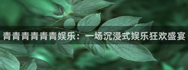 辉达平台是真的吗