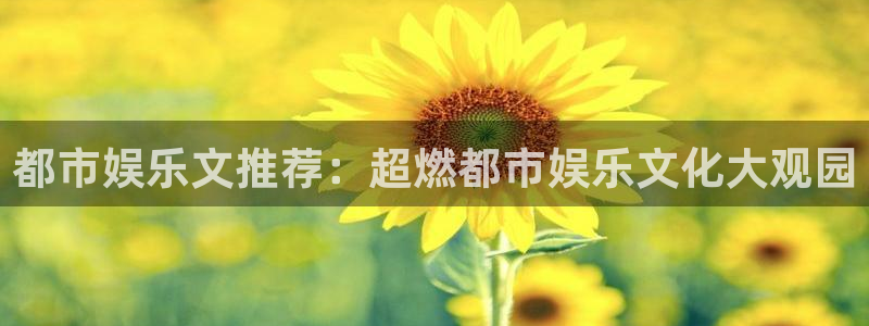 辉达平台下载
