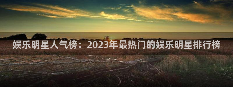 辉达平台是正规平台吗