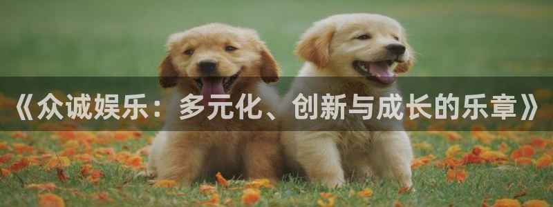 辉达平台app入口