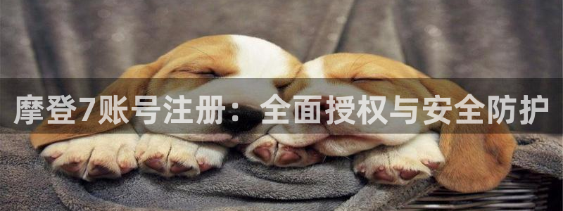 辉达平台官方网站下载