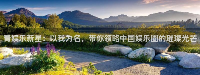 辉达平台.ccmpc正版官网版下载