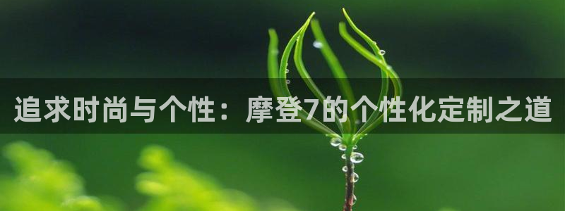 辉达平台app下载官网