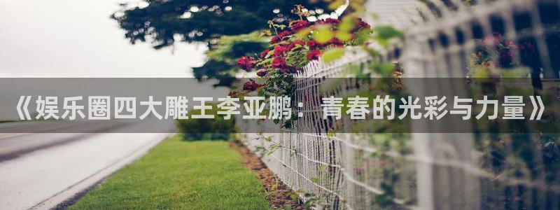 辉达平台平台官方入口下载