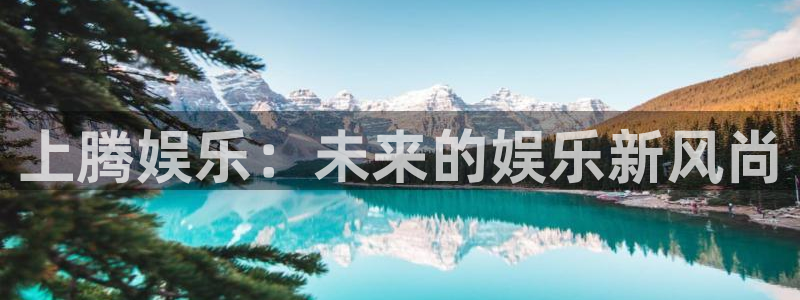 辉达平台平台官网版下载