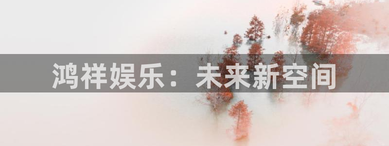 辉达平台是什么