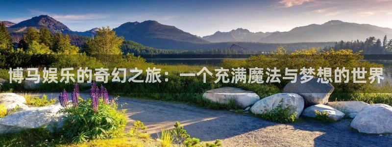 辉达平台.ccm苹果版