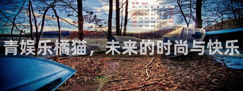 壹号国际app免费下载安装