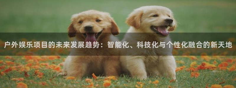 辉达平台.ccm苹果版