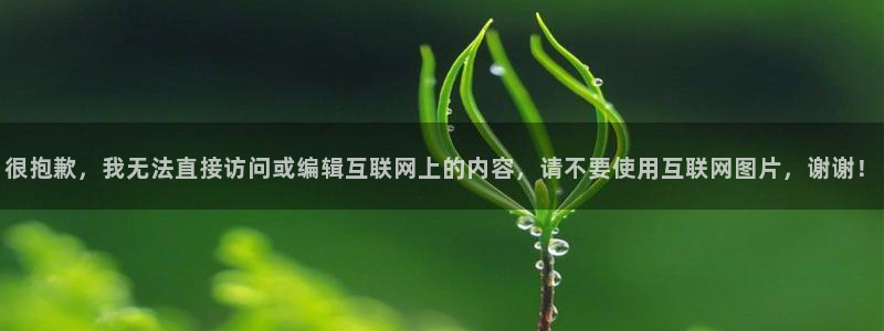 辉达平台官方app下载安装