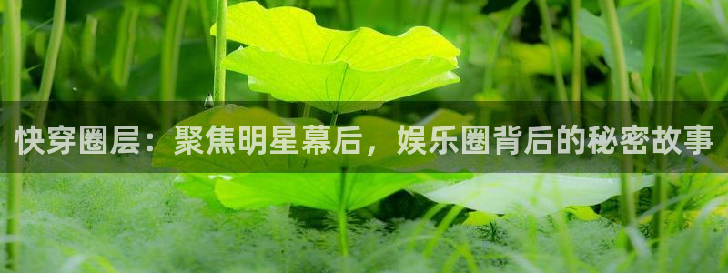辉达平台下载二维码