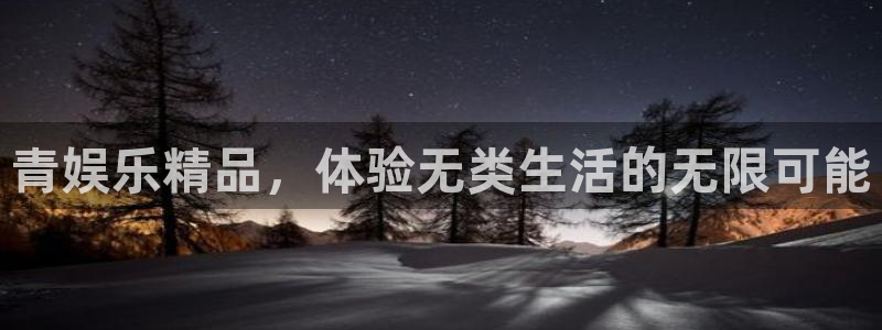 辉达平台电子游戏