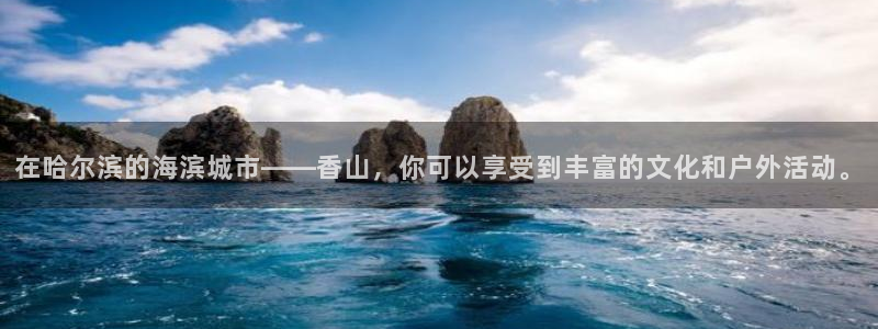 辉达平台平台官方入口下载