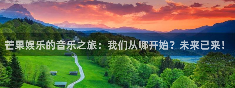 辉达平台app