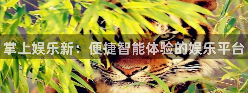辉达平台怎么下载