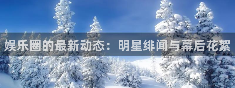 辉达平台ccm麻将胡了