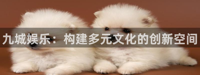 pg辉达平台平台下载入口
