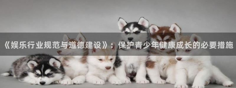 辉达平台是啥：《娱乐行业规范与道德建设》：保护青少年健康成长的必要措施