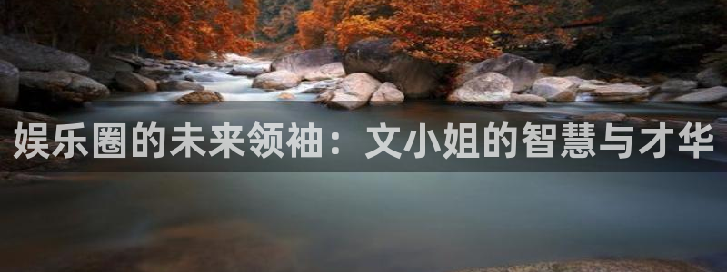 辉达平台手机客户端下载安装：娱乐圈的未来领袖：文小姐的智慧与才华
