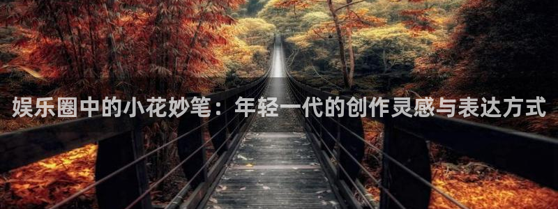 下载辉达平台：娱乐圈中的小花妙笔：年轻一代的创作灵感与表达方式