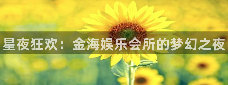 辉达平台官方网站下载：星夜狂欢：金海娱乐会所的梦幻之夜