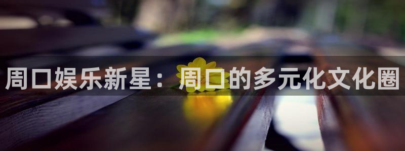 辉达平台麻将胡了：周口娱乐新星：周口的多元化文化圈