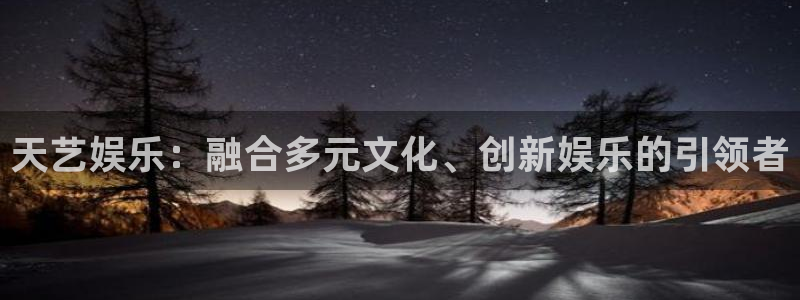 辉达平台app：天艺娱乐：融合多元文化、创新娱乐的引领者