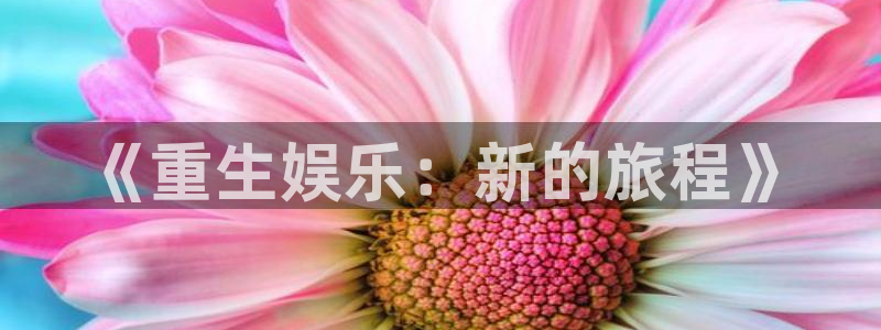 辉达平台app下载安装：《重生娱乐：新的旅程》