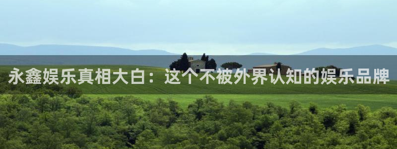 辉达平台游戏官网版：永鑫娱乐真相大白：这个不被外界认知的娱乐品牌