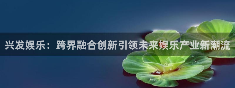 辉达平台手机客户端下载安装：兴发娱乐：跨界融合创新引领未来娱乐产业新潮流