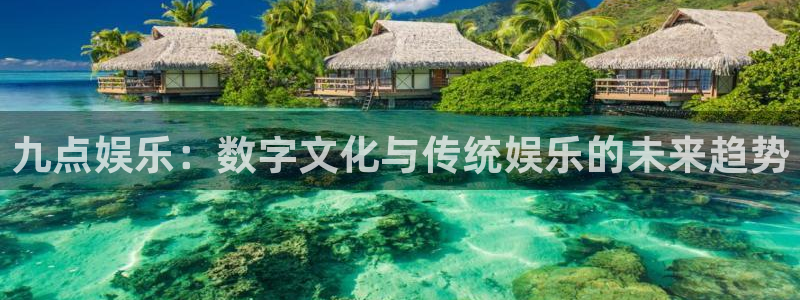 辉达平台的平台：九点娱乐：数字文化与传统娱乐的未来趋势