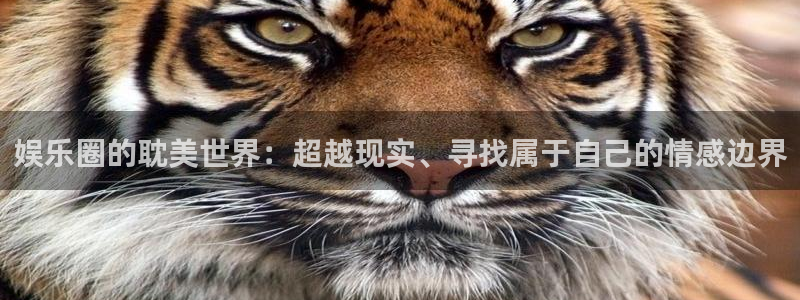 辉达平台平台官方入口下载：娱乐圈的耽美世界：超越现实、寻找属于自己的情感边界